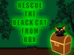 Jwèt Rescue the Black Cat from Box