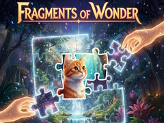 Jwèt Fragments of Wonder