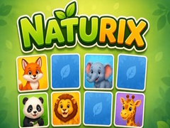 Jwèt Naturix