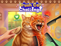 Jwèt Brush Cat Challenge 