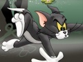 Jwèt Tom And Jerry Chase In Marsh