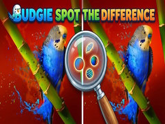 Jwèt Budgie Spot the Difference