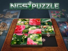 Jwèt NGS Puzzle