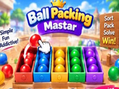 Jwèt Packing Master Puzzle