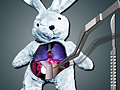 Jwèt Save The Bunny