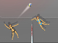 Jwèt Ragdoll Volleyball