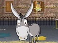 Jwèt Donkey Gafoor