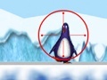 Jwèt Shooting at the Zoo penguin