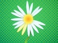 Jwèt Daisy petals