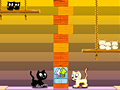 Jwèt Swing Cat