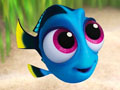 Jwenn Dory jwèt 