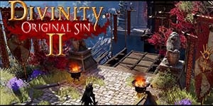Divinite: Original Sin 2 