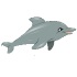 Dolphin montre jwèt 